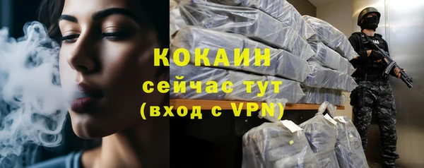 соль ск Кодинск