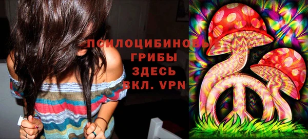 дурь Белокуриха