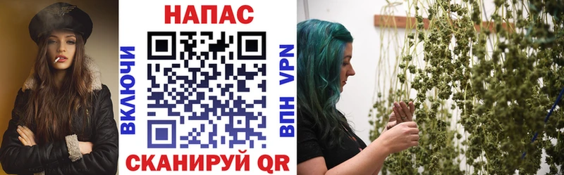 Шишки марихуана сатива  купить   площадка формула  Онега 